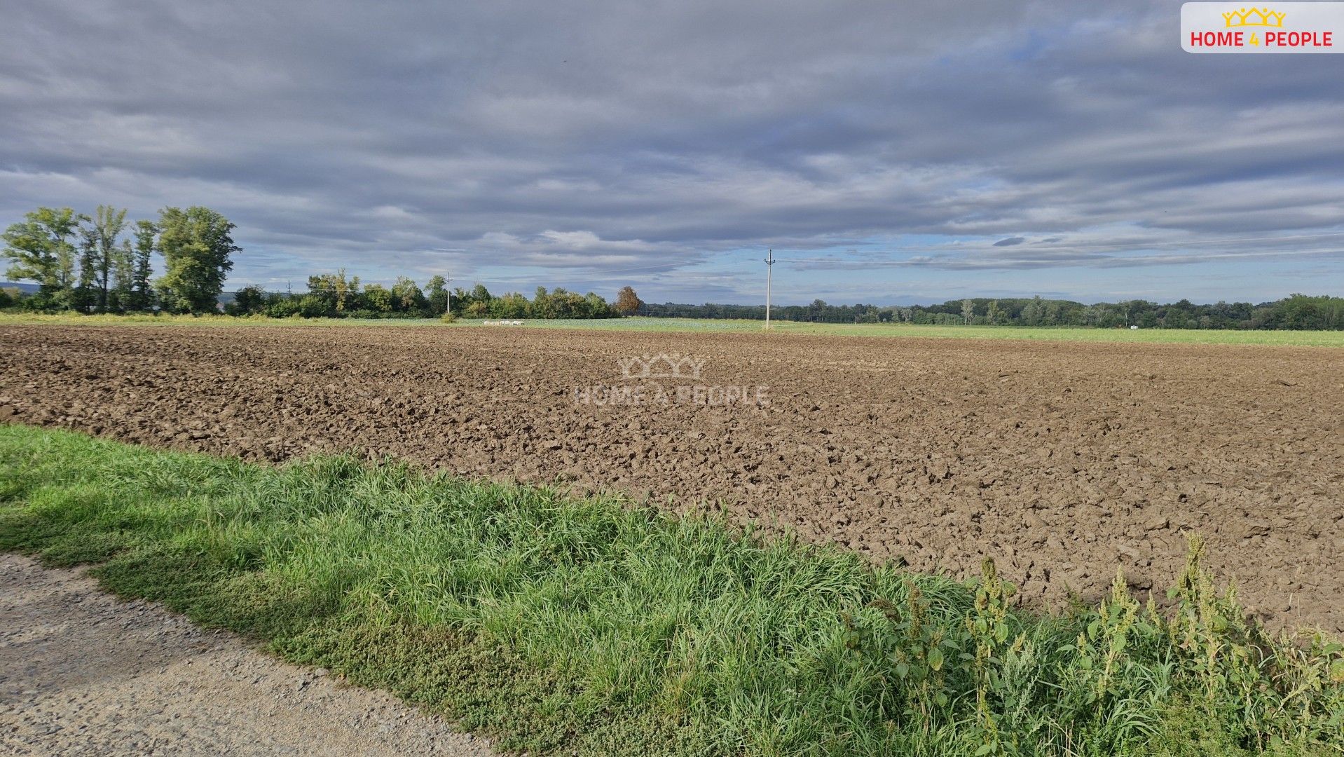 Komerční pozemky, Malešovice, 12 361 m²