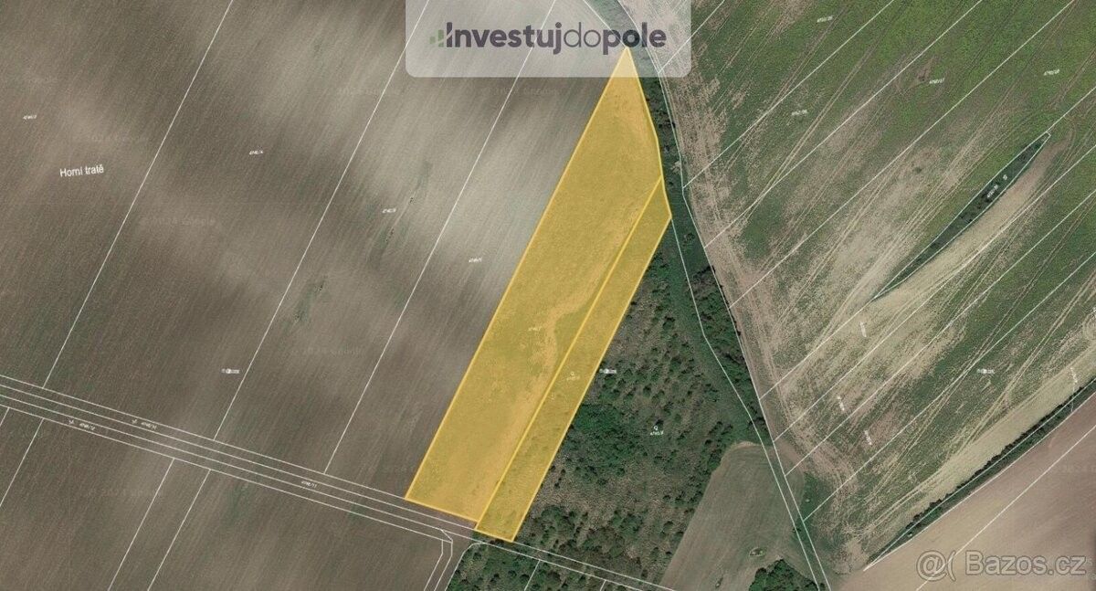 Prodej zemědělský pozemek - Hustopeče u Brna, 693 01, 2 413 m²