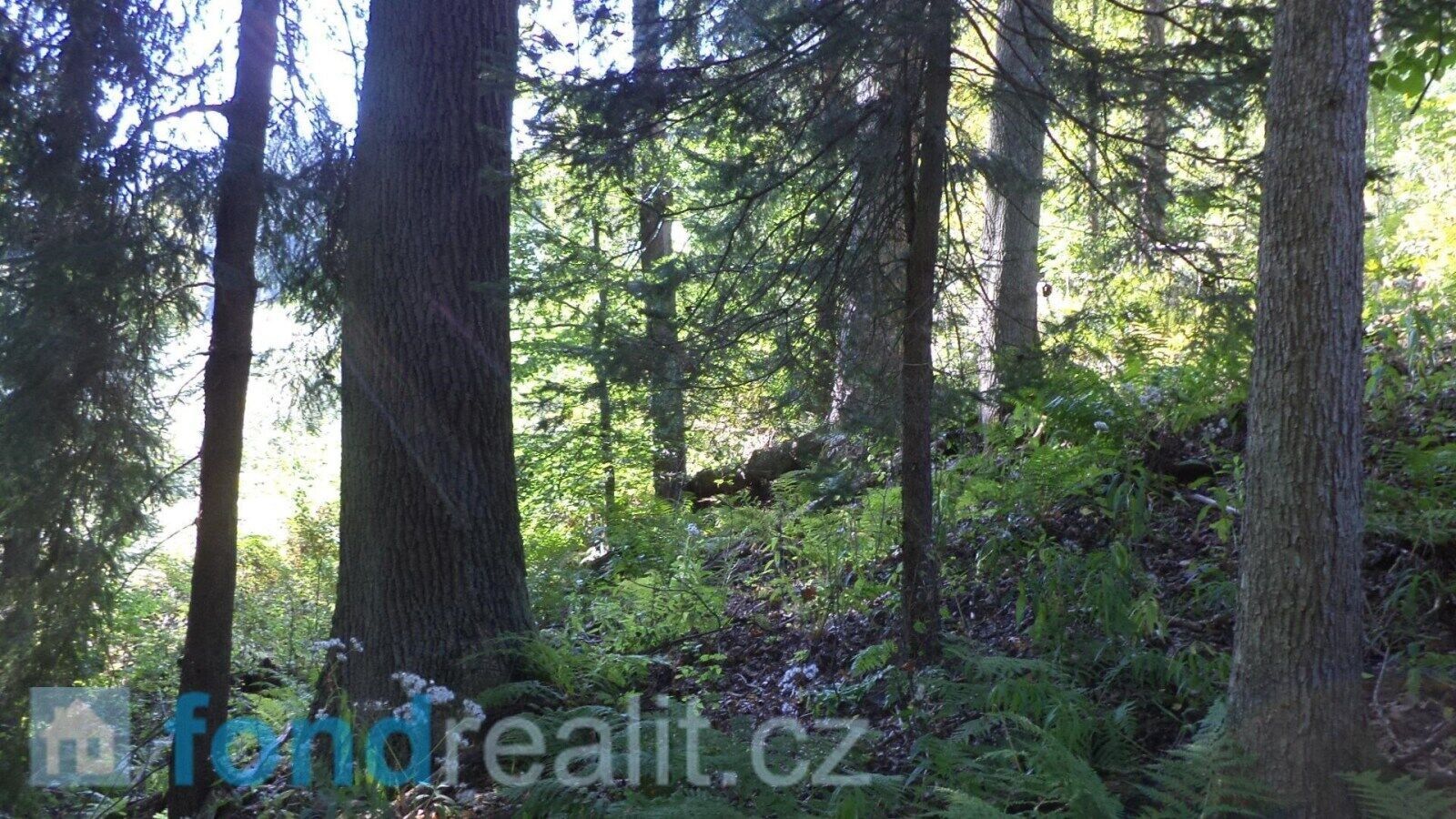 Zemědělský pozemek · 10 225 m² · Roztoky u Semil - 3