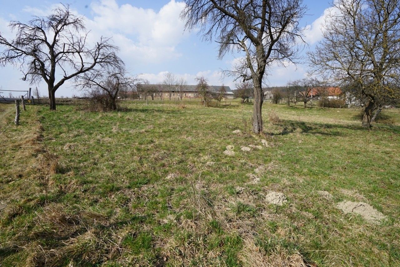 Prodej pozemek pro bydlení - Proruby, Brzice, 1 m² - 5