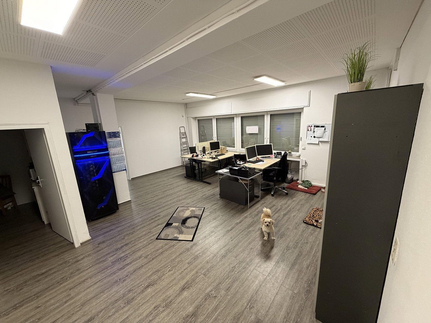 Obchodní prostory, Essen Horst Nordrhein-Westfalen 45279, 480 m²