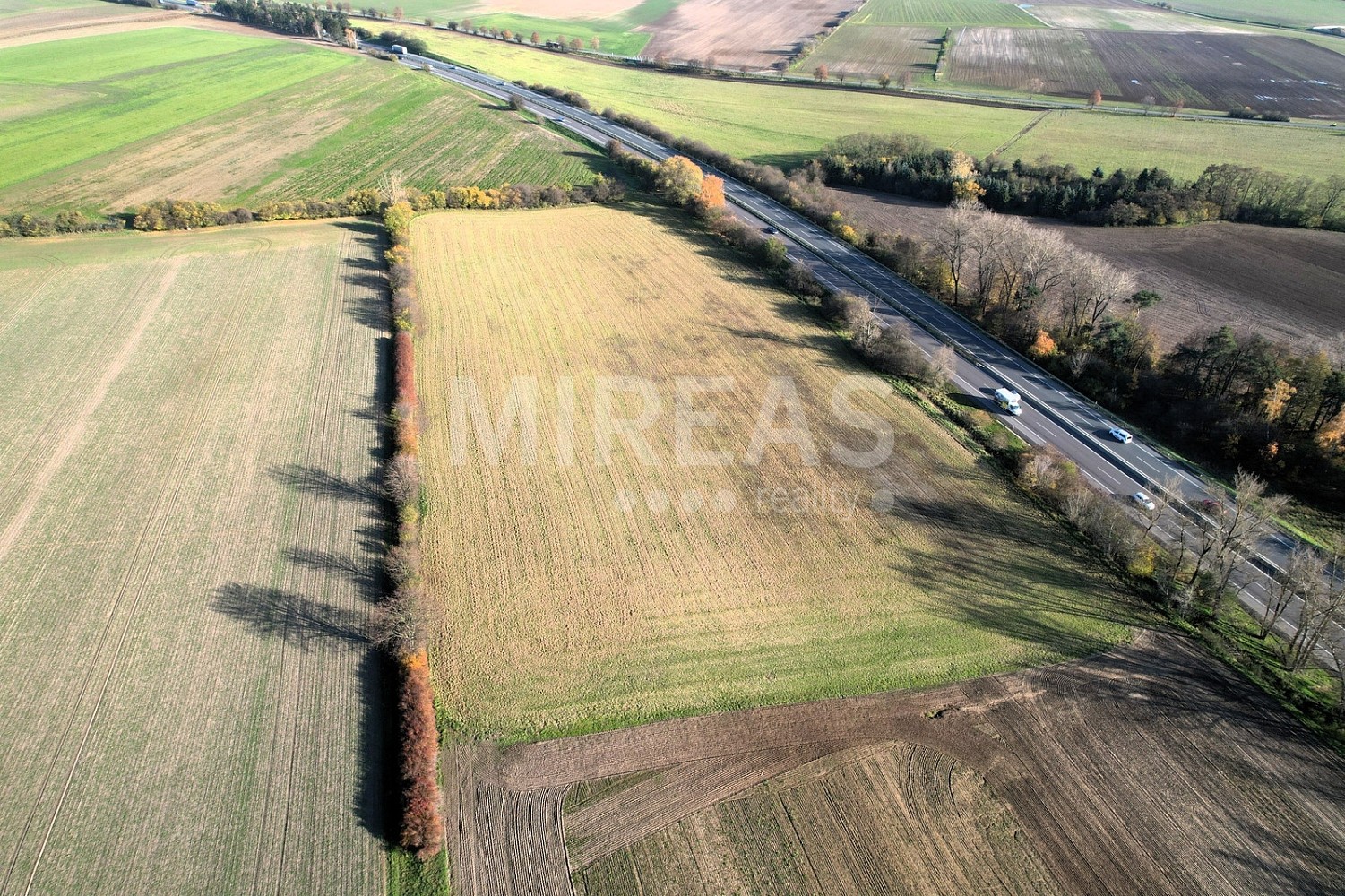 Zemědělský pozemek · Předměřice nad Jizerou, okres Mladá Boleslav - 4