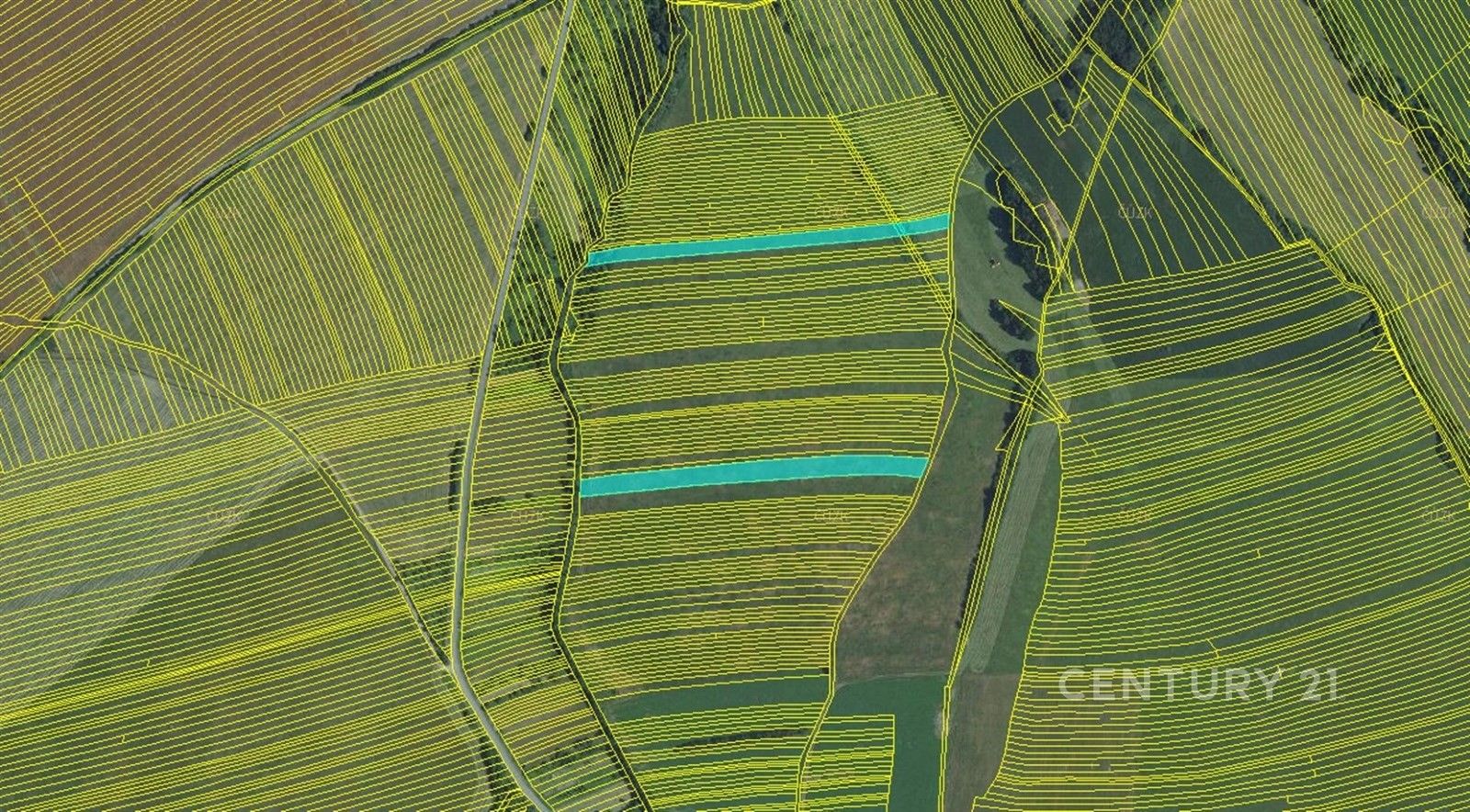 Prodej zemědělský pozemek - Suchov - 2