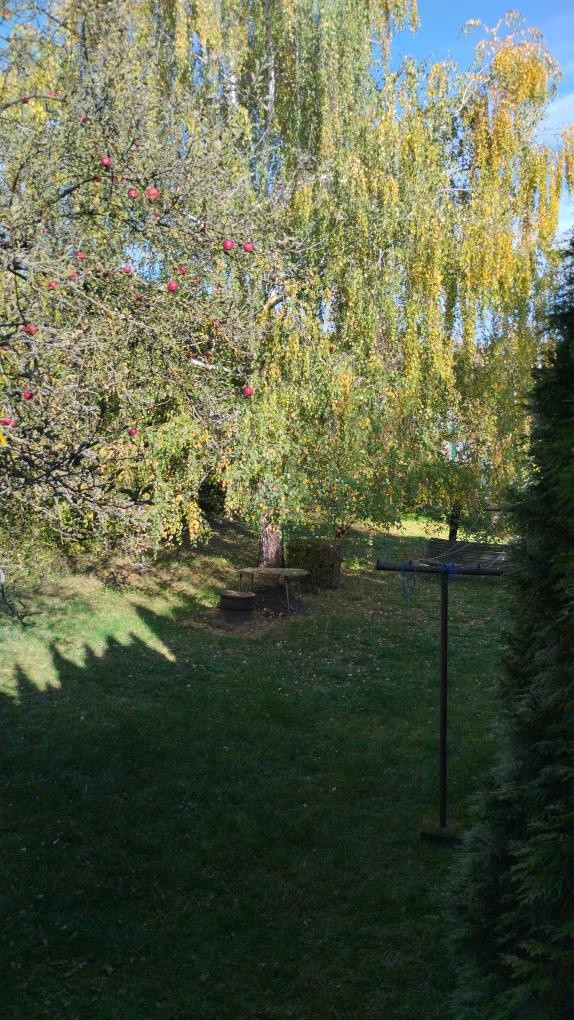 Prodej rodinný dům - Hranice, 753 01 - 5