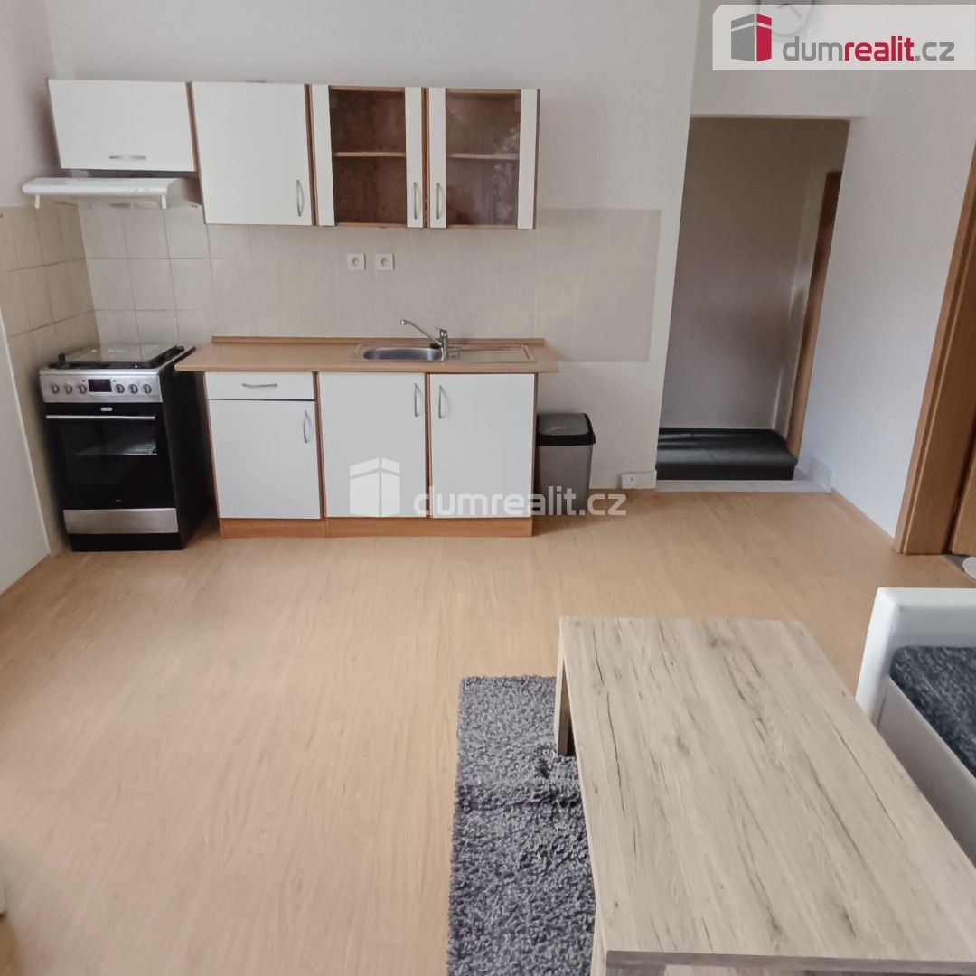 1+1, Saská, Děčín, 44 m²