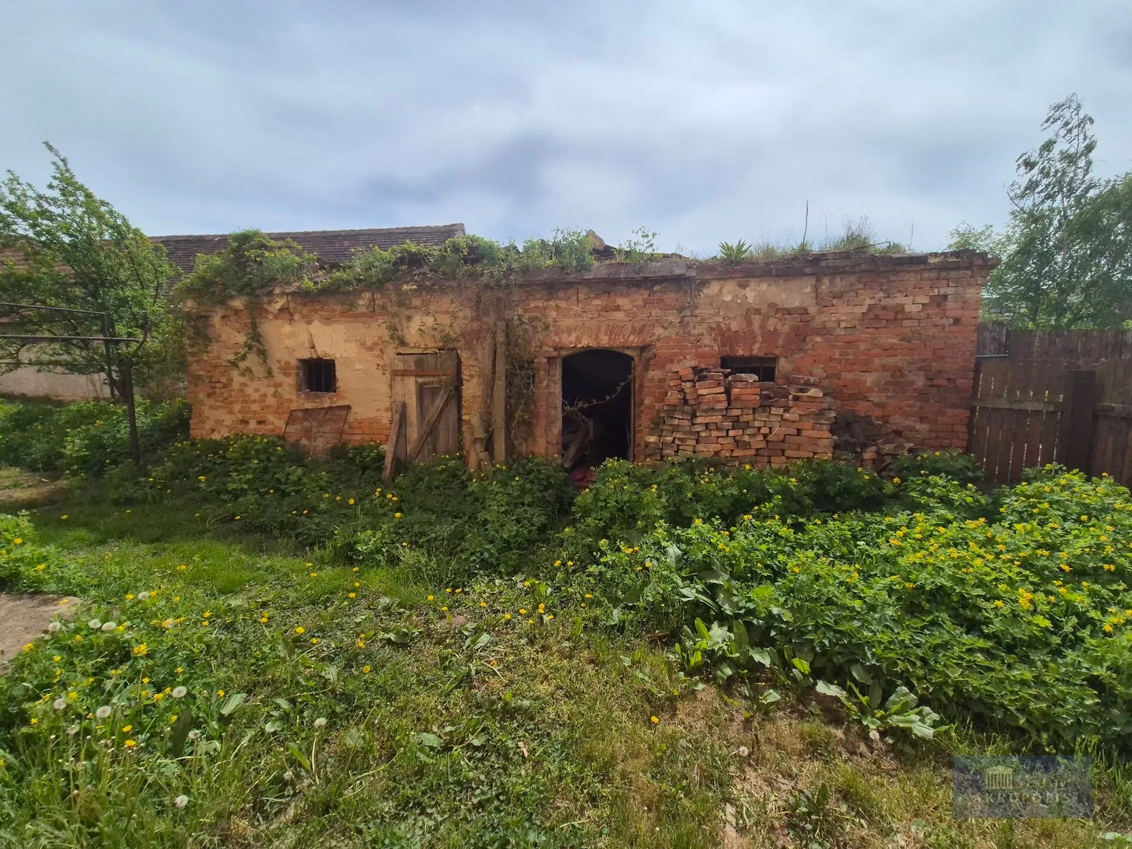 Ostatní