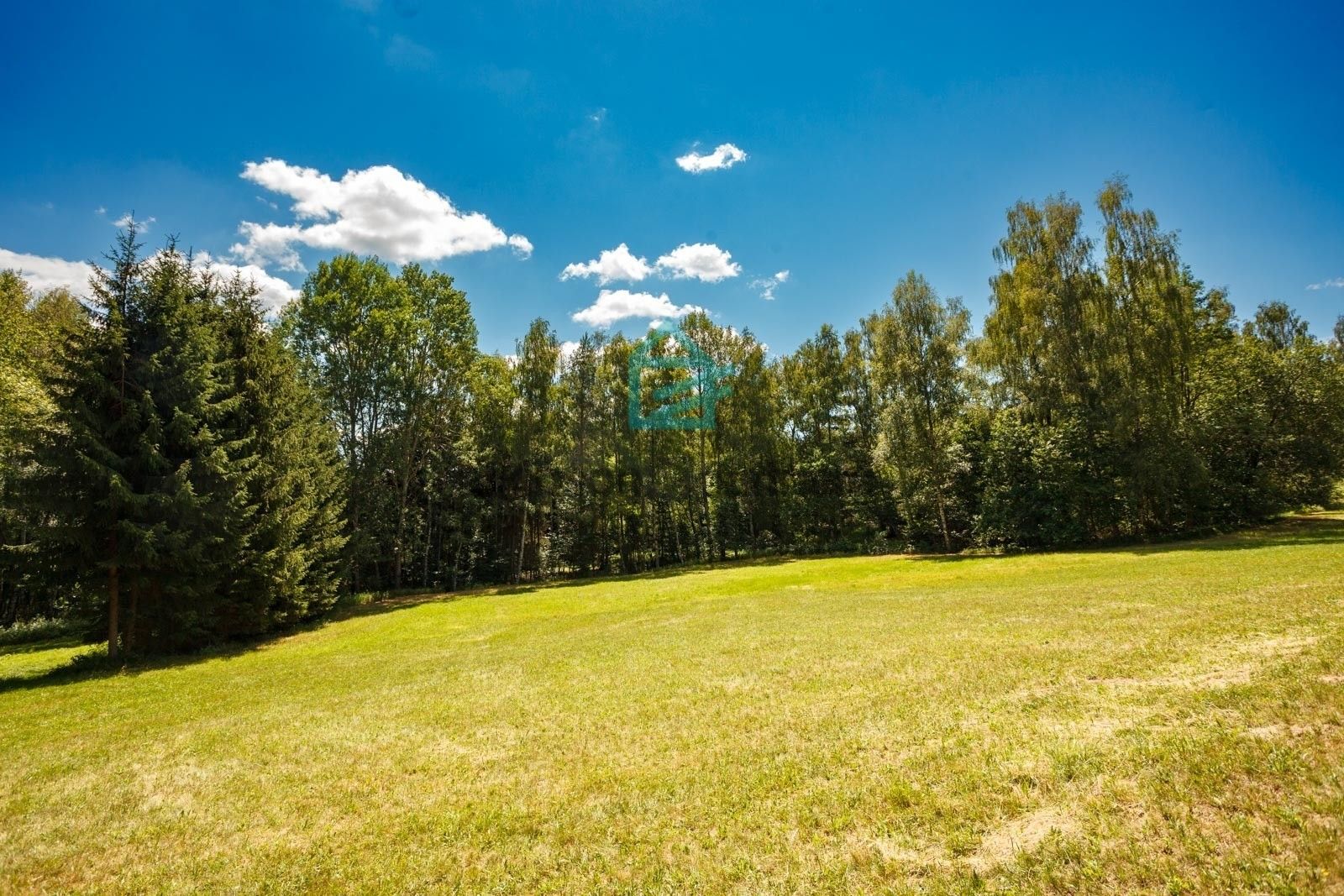 Pozemek · 6 805 m² · Klení, Benešov nad Černou - 3