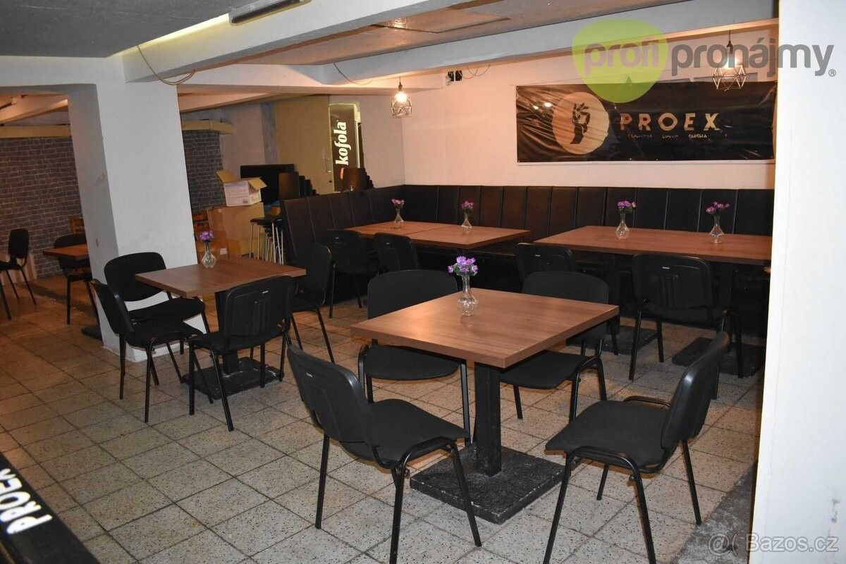 Pronájem ostatní - Holešov, 769 01 - 5