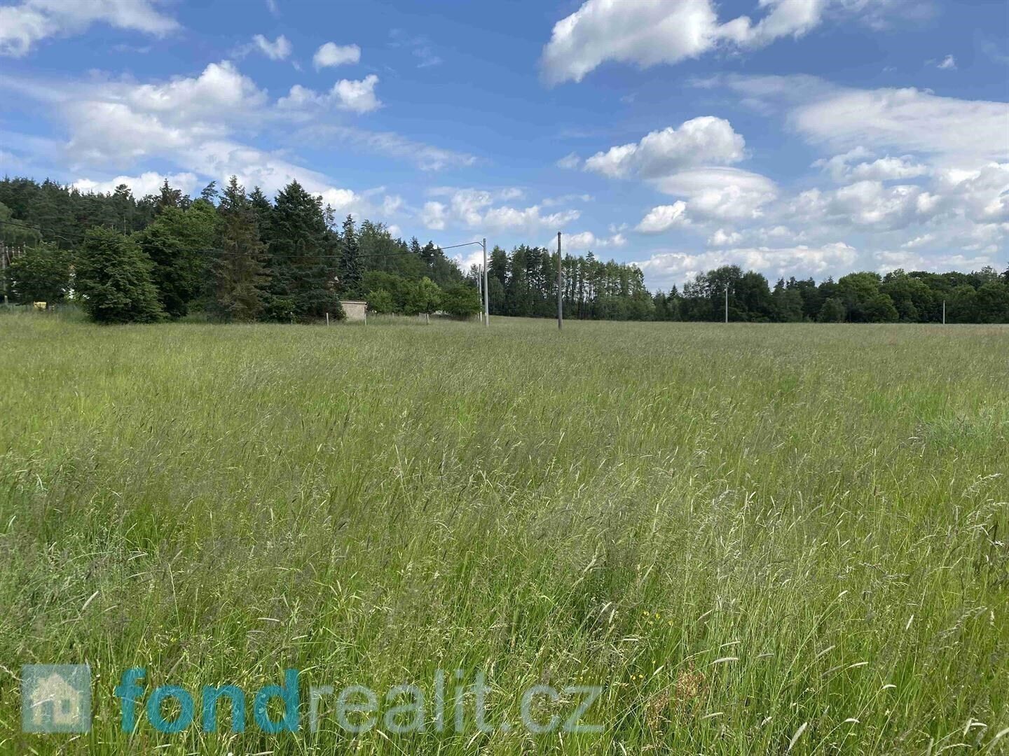 Prodej pozemek pro bydlení - Planá, 1 400 m² - 5