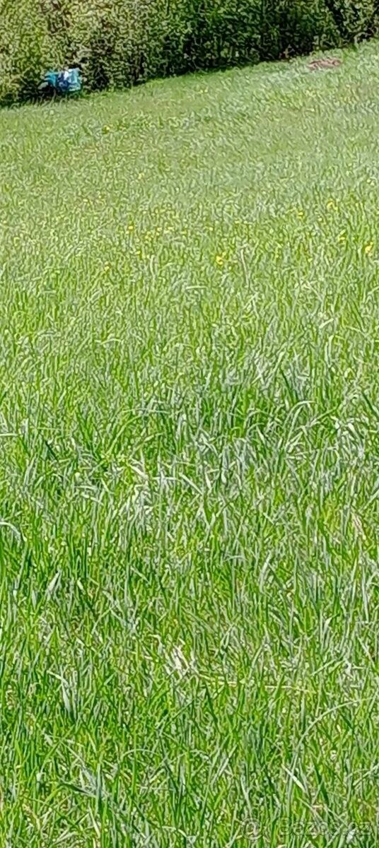 Pozemky pro bydlení, Letovice, 679 61