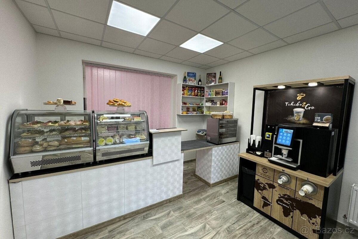 Obchodní prostory, Chomutov, 430 01