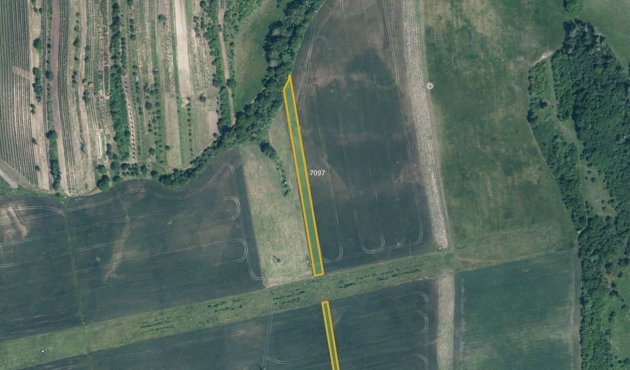 Prodej zemědělský pozemek - Milotice