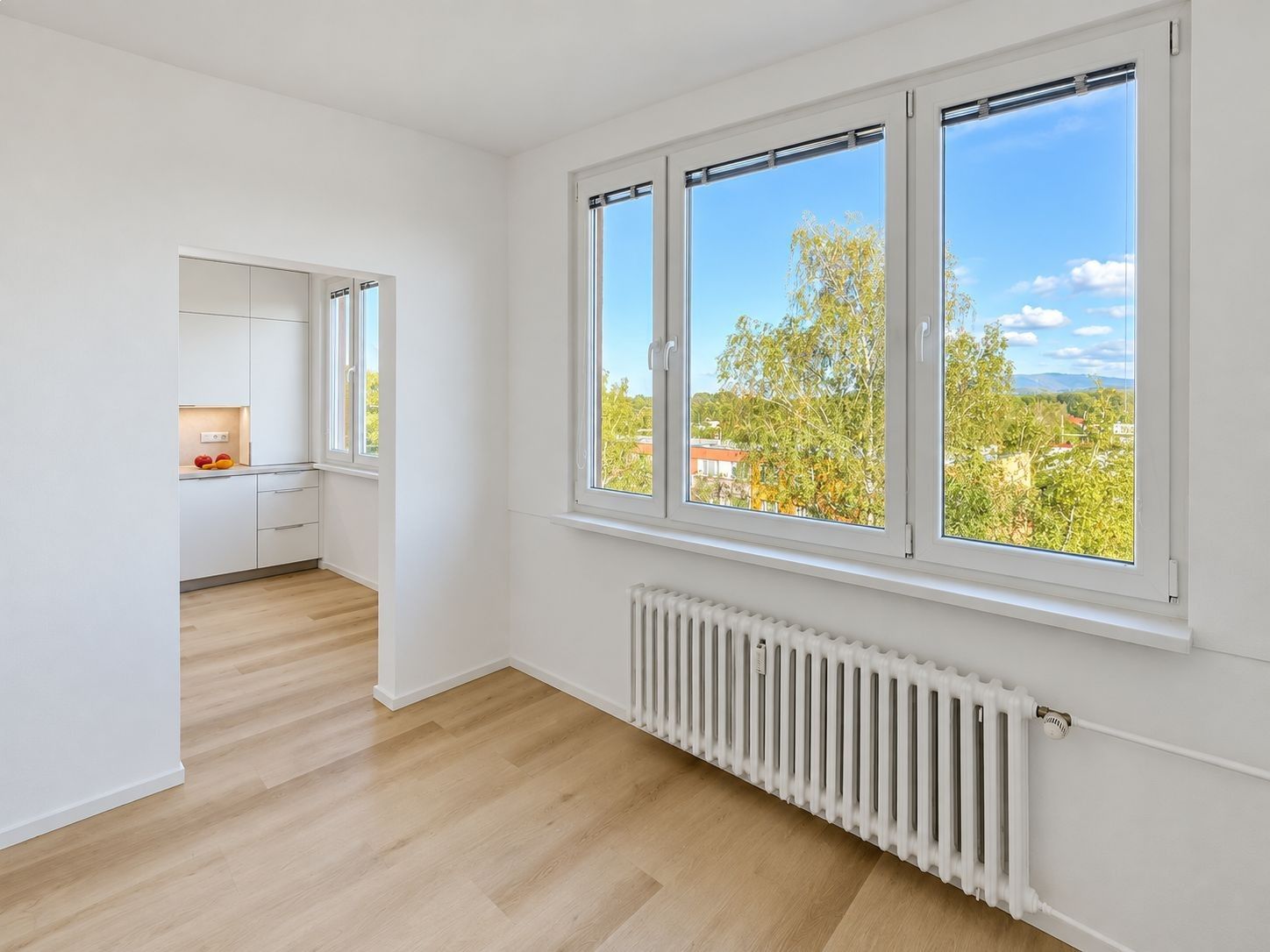 Byt 2+1 · 55 m² · Místek, Frýdek-Místek - 3