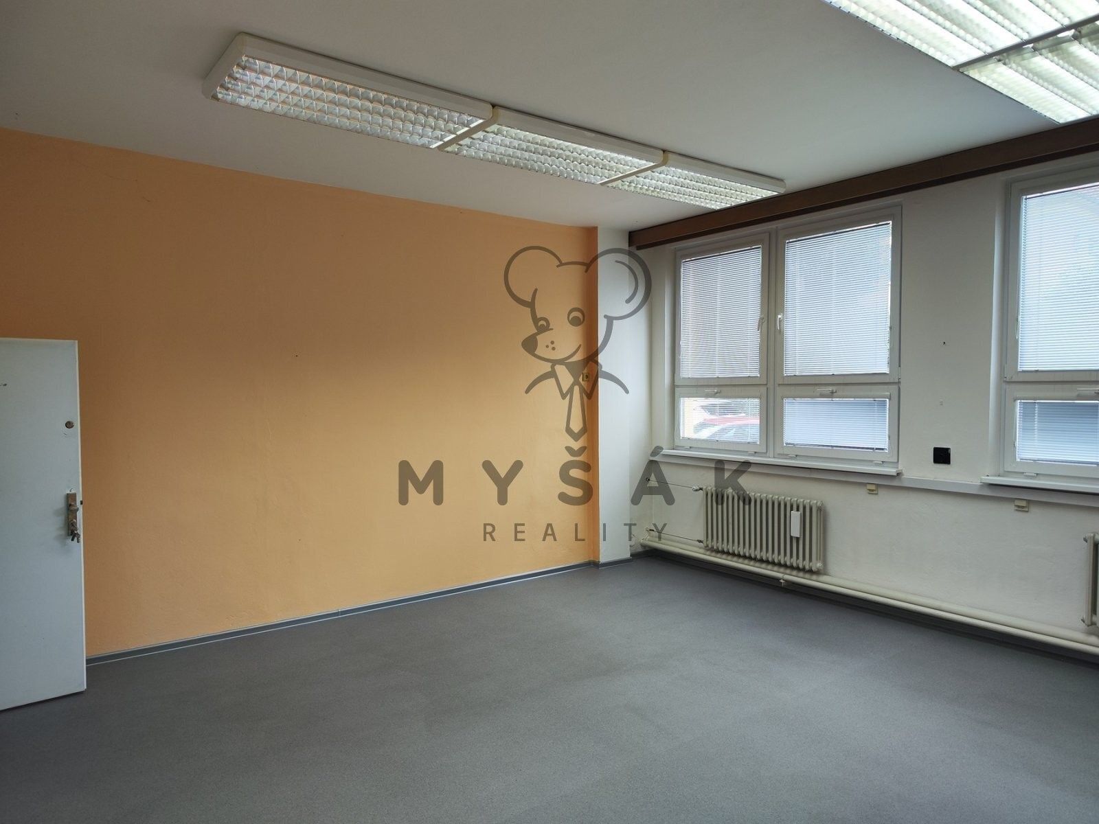 Kanceláře, U Malše, České Budějovice, 34 m²