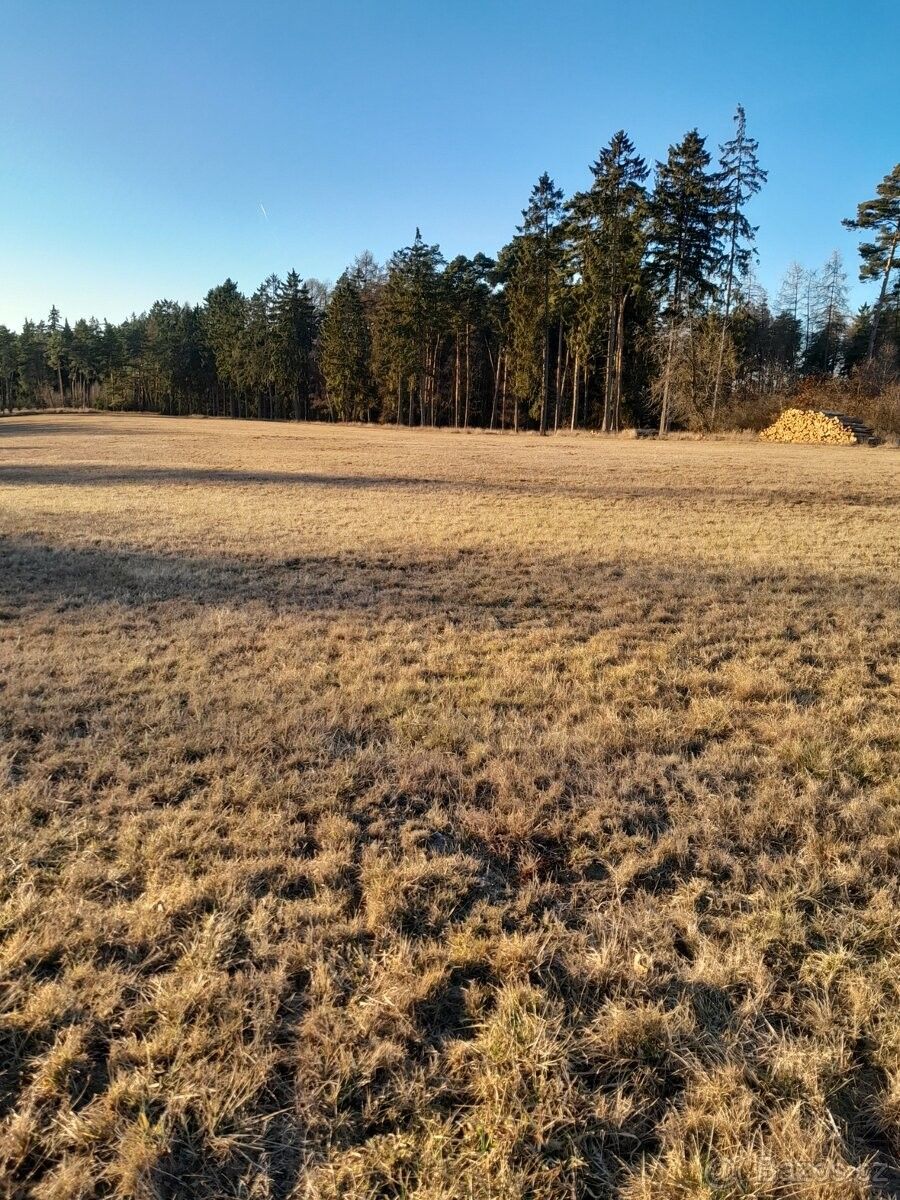 Prodej pozemek pro bydlení - Líšťany, 330 35