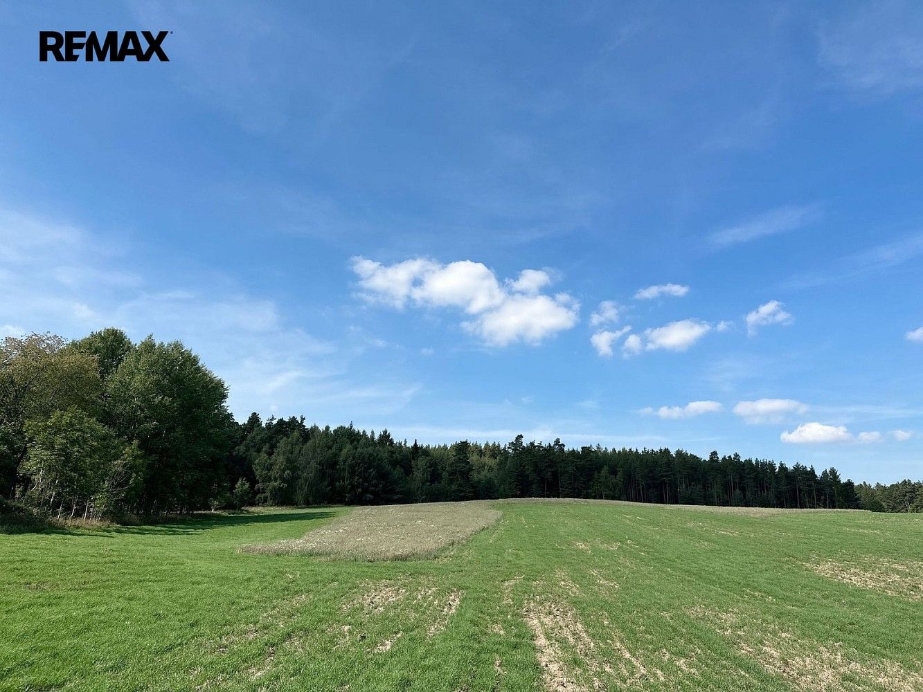 Lesy, Dlouhý Újezd, okres Tachov, Plzeňský kraj - 2