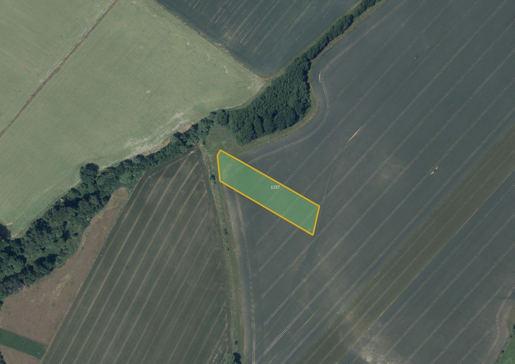 Zemědělský pozemek, 7 095 m²