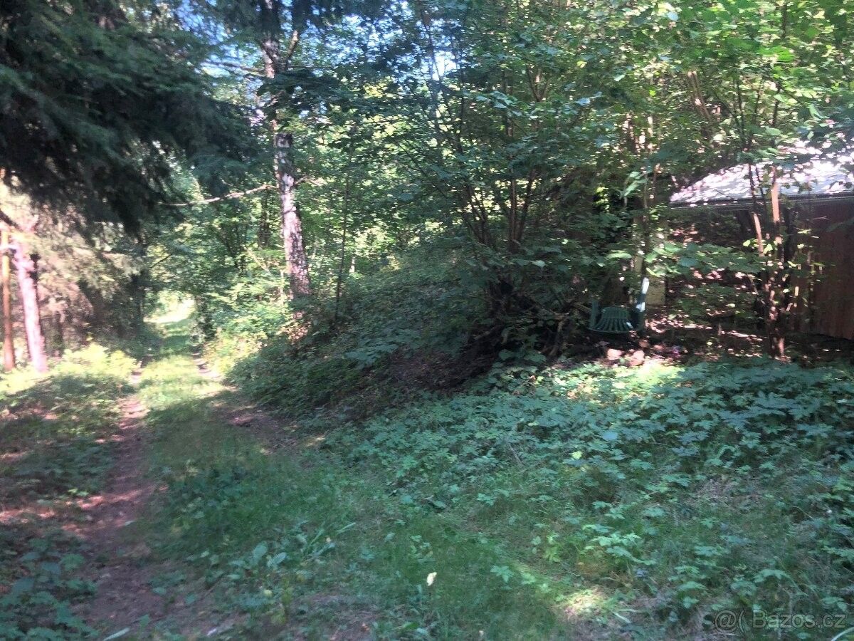 Prodej chata - Rapotín, 788 14