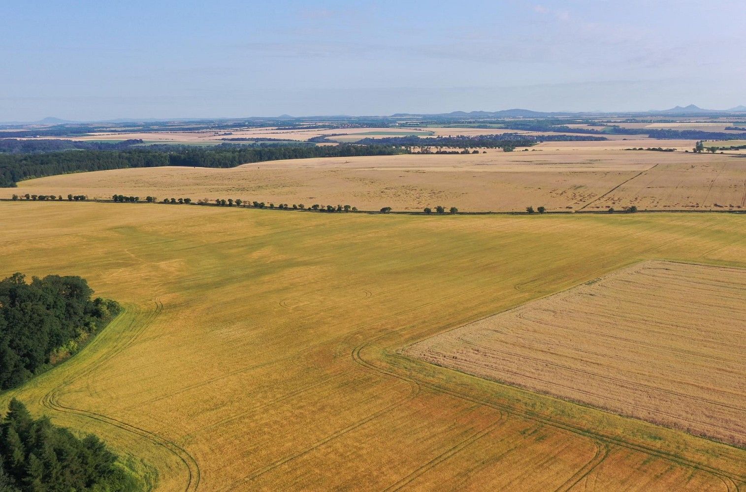 Zemědělský pozemek · Horní Slivno, okres Mladá Boleslav, Středočeský kraj - 4