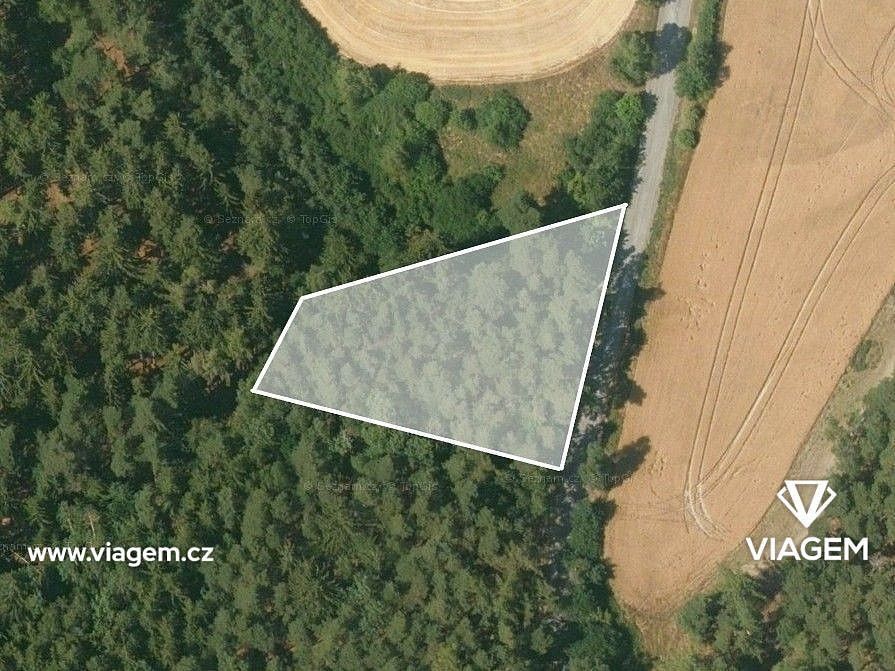 Lesy, Manětín, okres Plzeň-sever, Plzeňský kraj - 2
