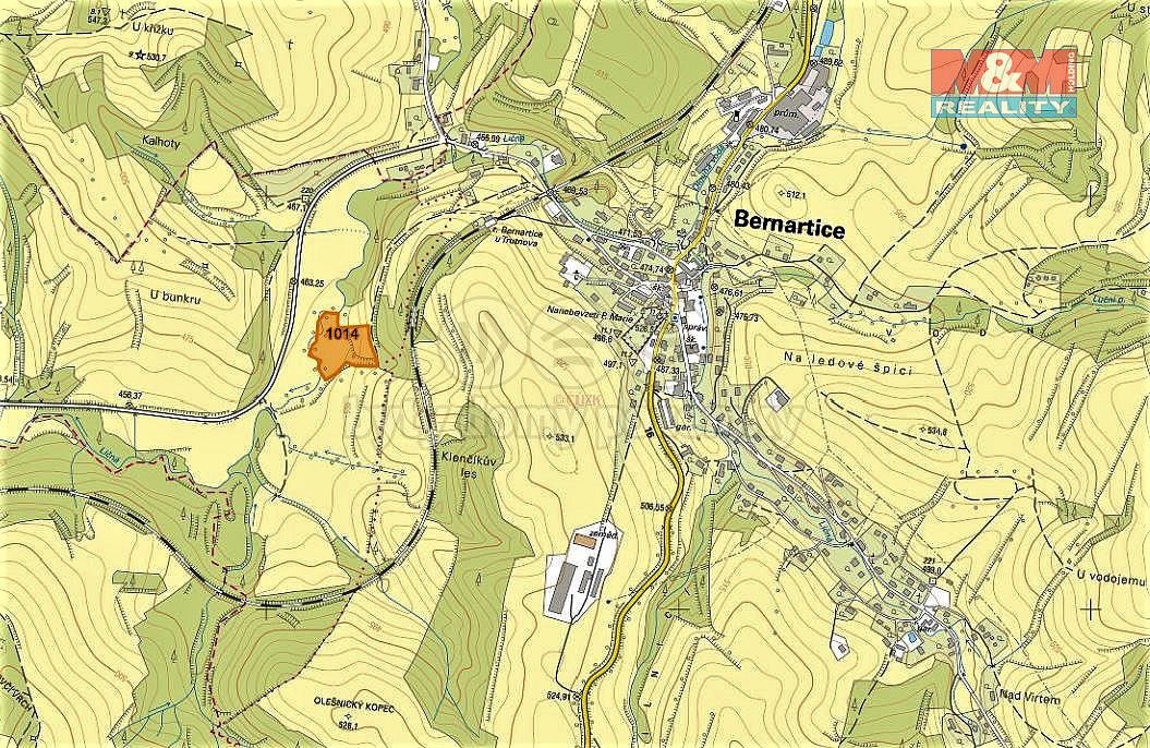 Louka · Bernartice, okres Trutnov, Královéhradecký kraj - 3