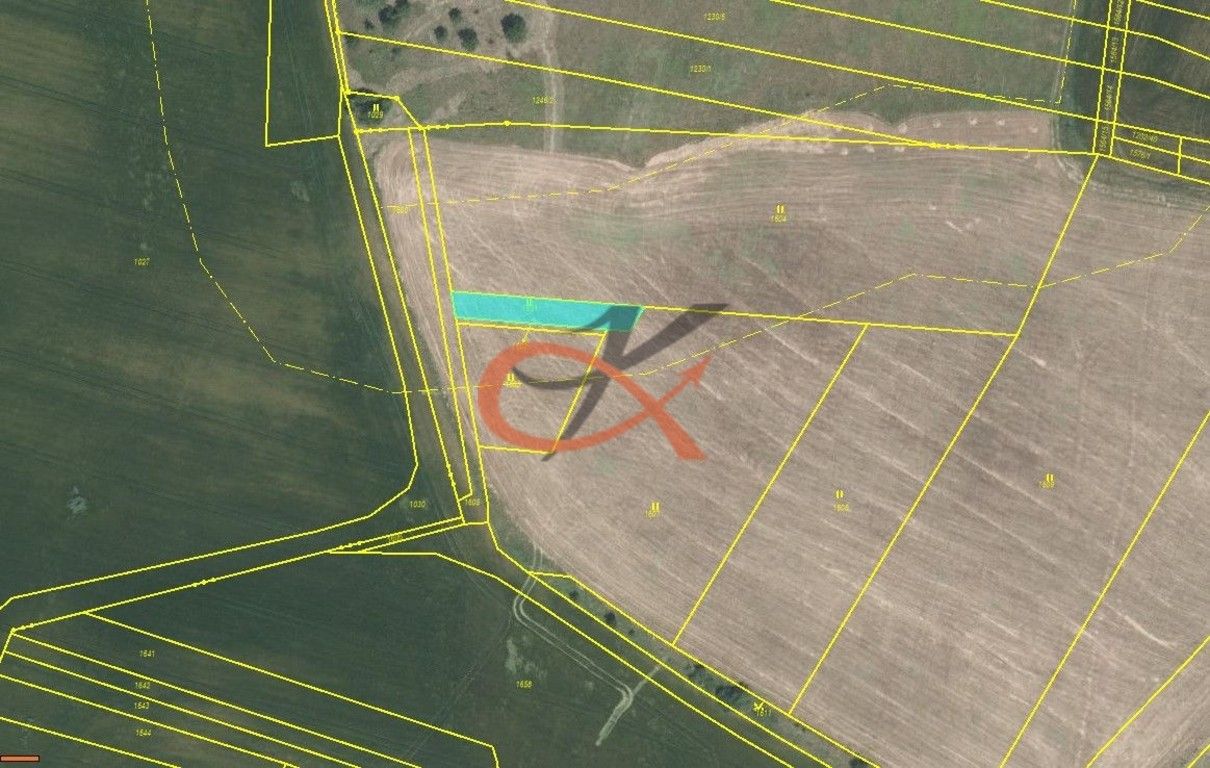 Louky, Plumlov, 339 m²