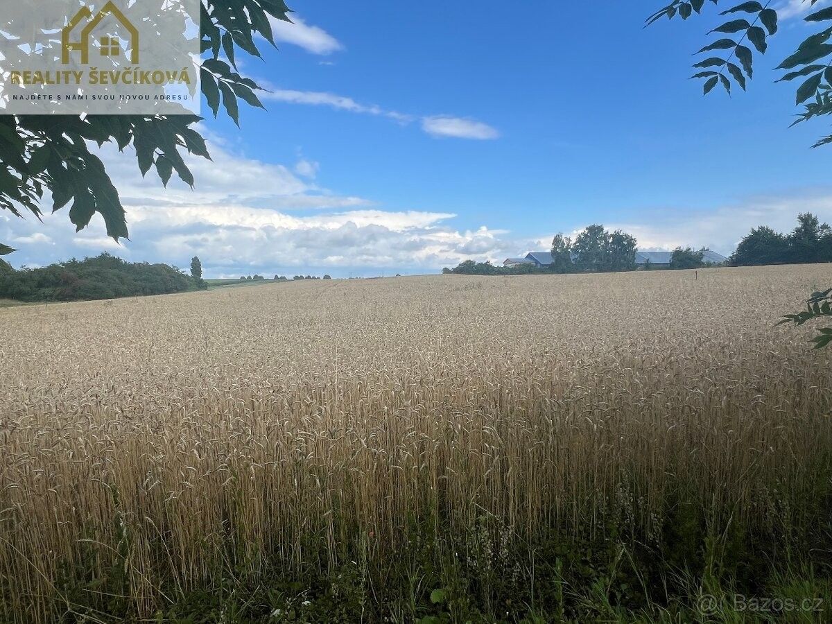 Prodej pozemek pro bydlení - Přelouč, 535 01, 633 m²