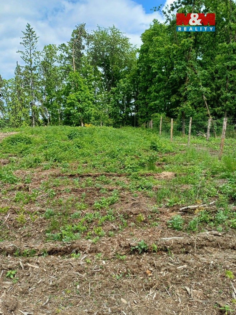 Prodej pozemek pro bydlení - Milevsko, 399 01