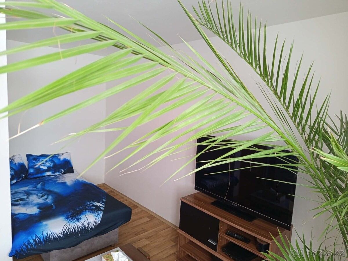 Pronájem byt - Vrchotovy Janovice, 257 53