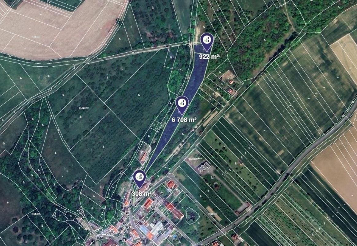 Lesy, Veselíčko, 3 969 m²