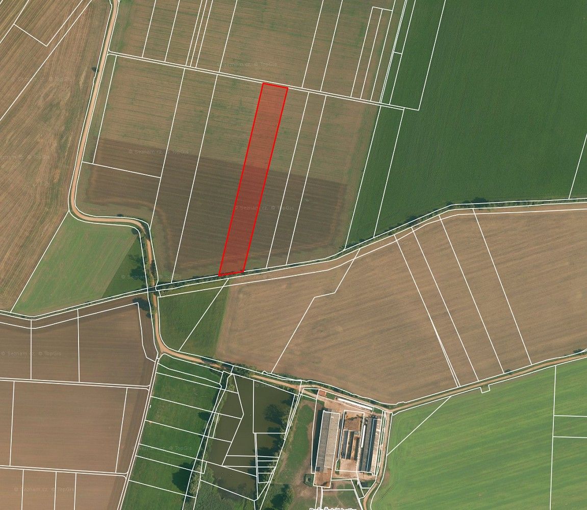 Zemědělské pozemky, Lužec nad Cidlinou, okres Hradec Králové - 1