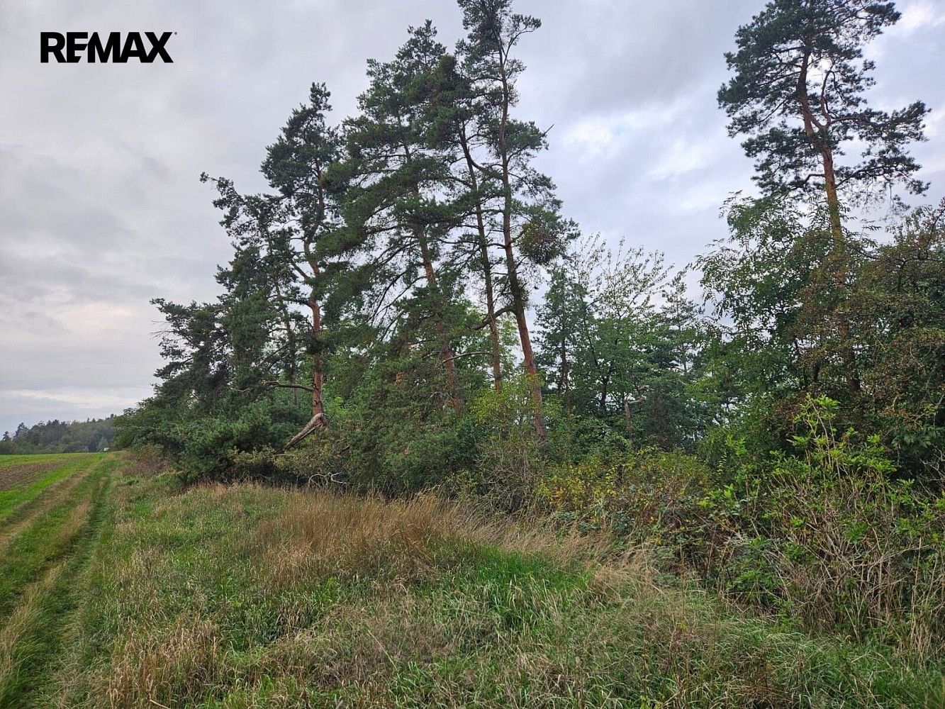 Prodej pozemek - Hrdlív, okres Kladno - 5