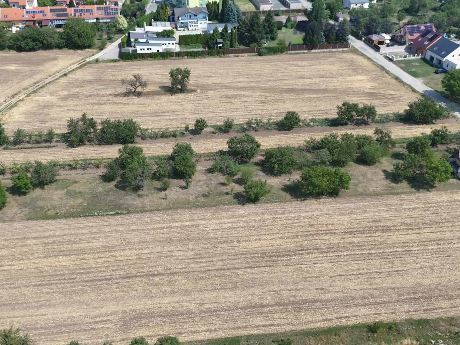 Ostatní