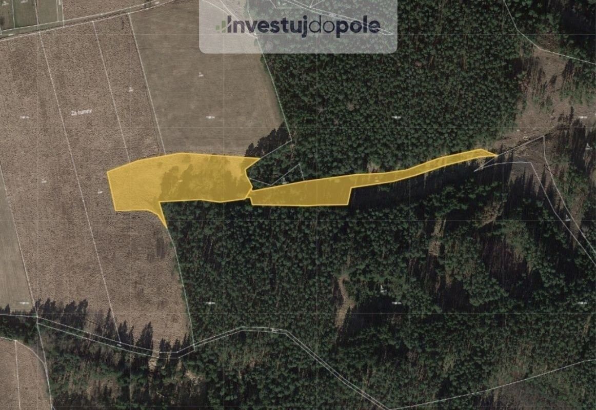 Louky, Planá, 17 635 m²