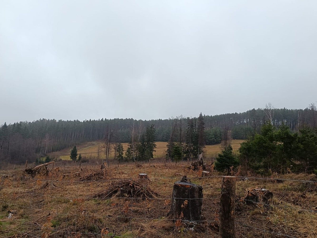 Lesy, Vacovice, okres Strakonice, Jihočeský kraj - 2