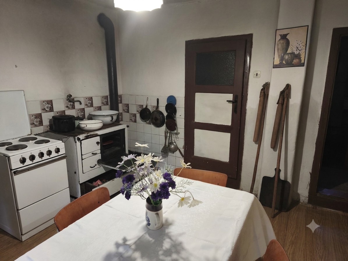 Prodej rodinný dům - Planá u Mariánských Lázní, 348 15 - 5