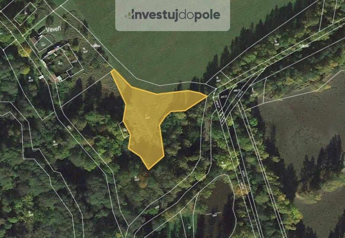 Louky, Veveří, Nové Hrady, 3 100 m²