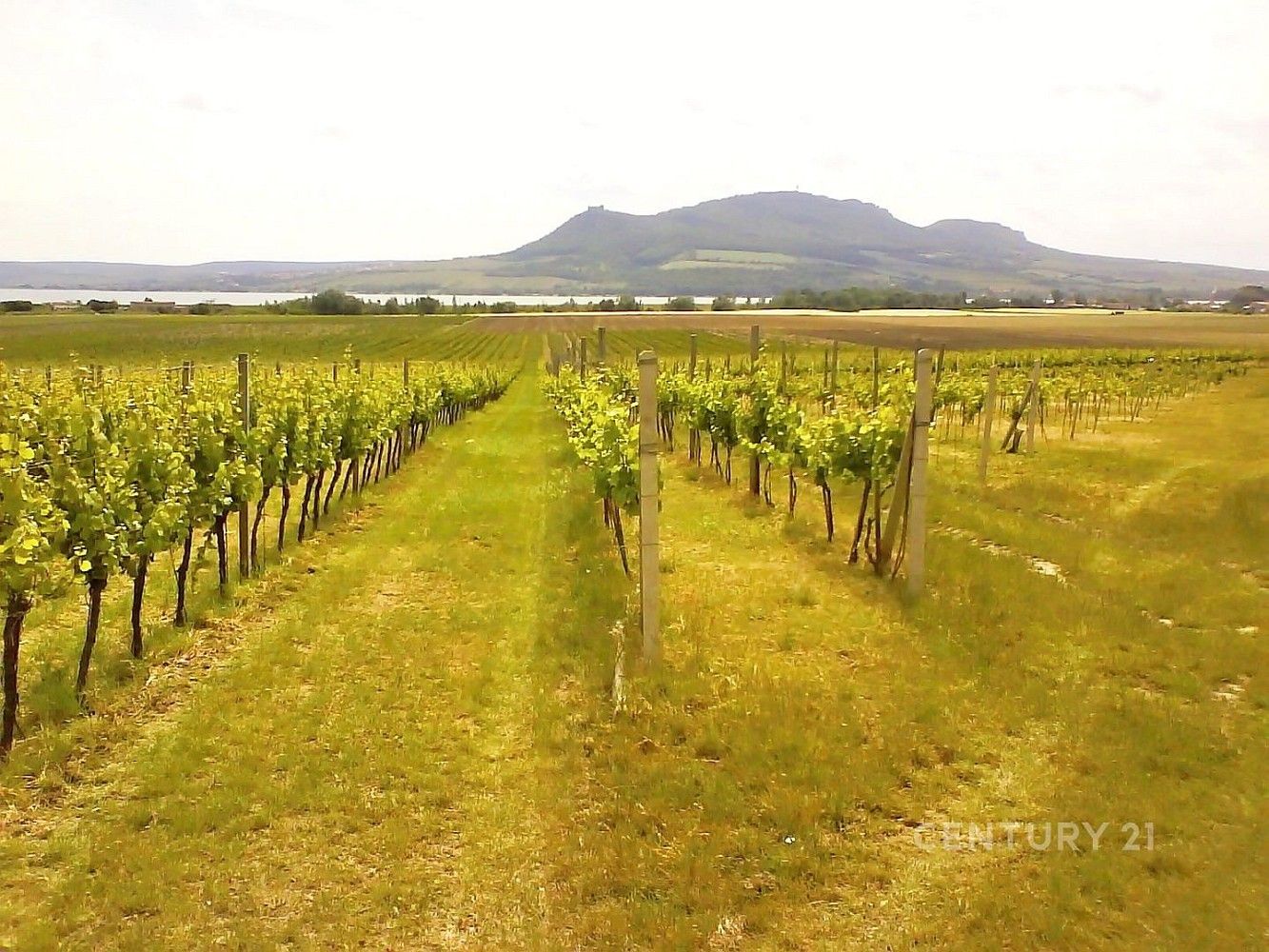 Ostatní, Strachotín, okres Břeclav, Jihomoravský kraj, 200 m² - 2