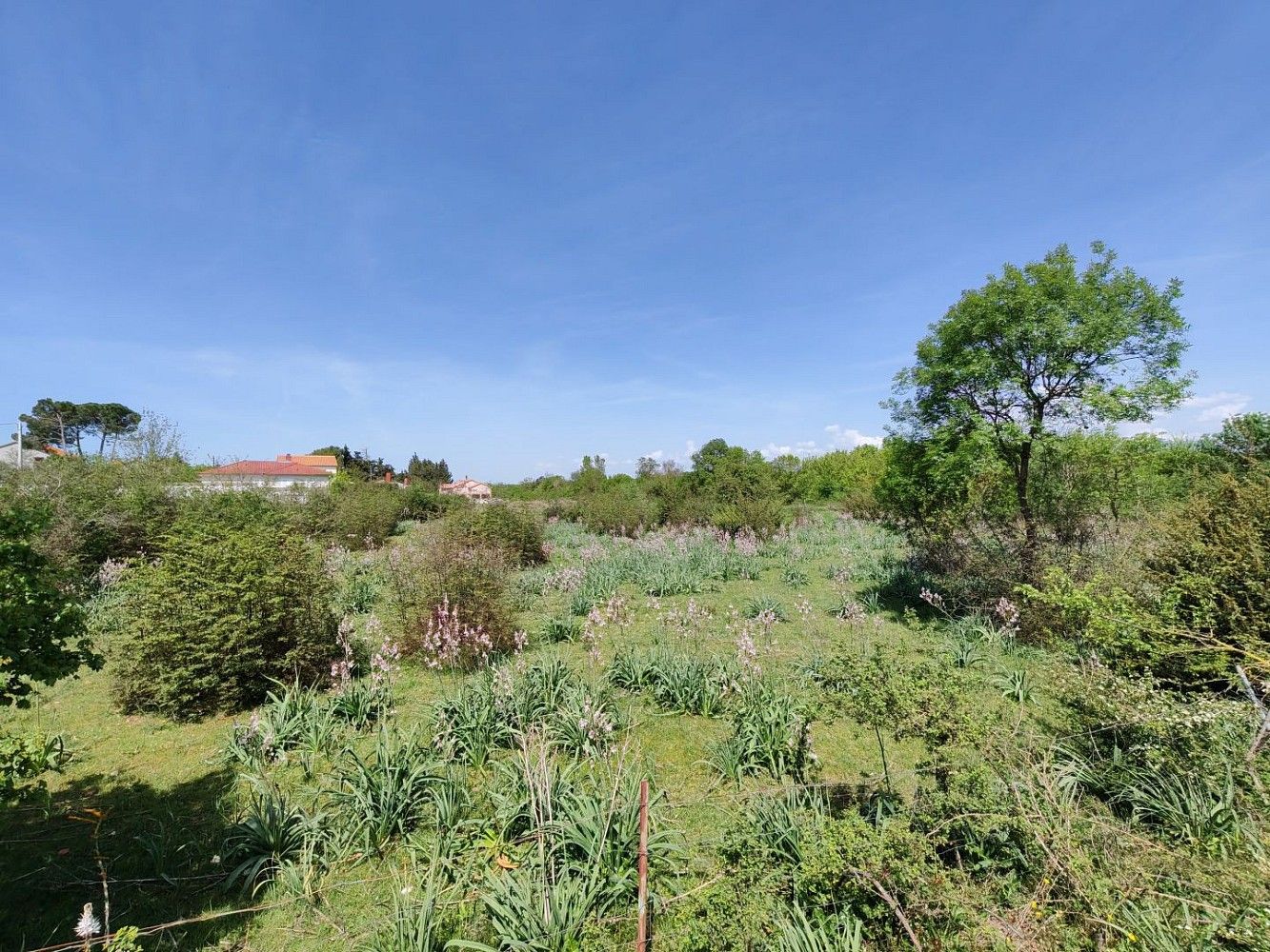 Pozemek pro bydlení, 1 089 m²