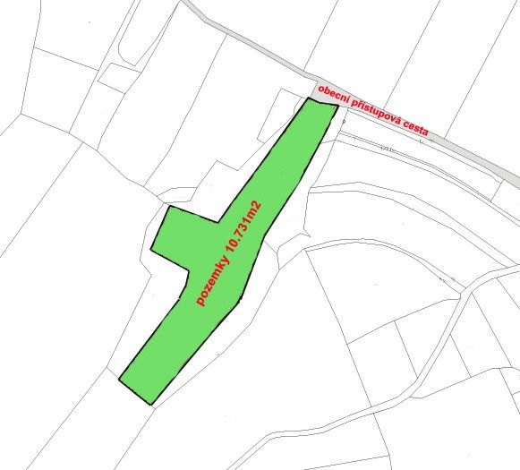 Prodej pozemek - Bechlín, 411 86, 10 731 m²