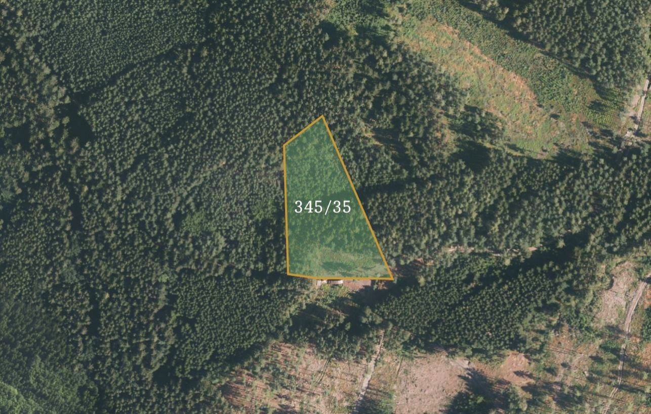 Lesy, Čestice, 10 873 m²