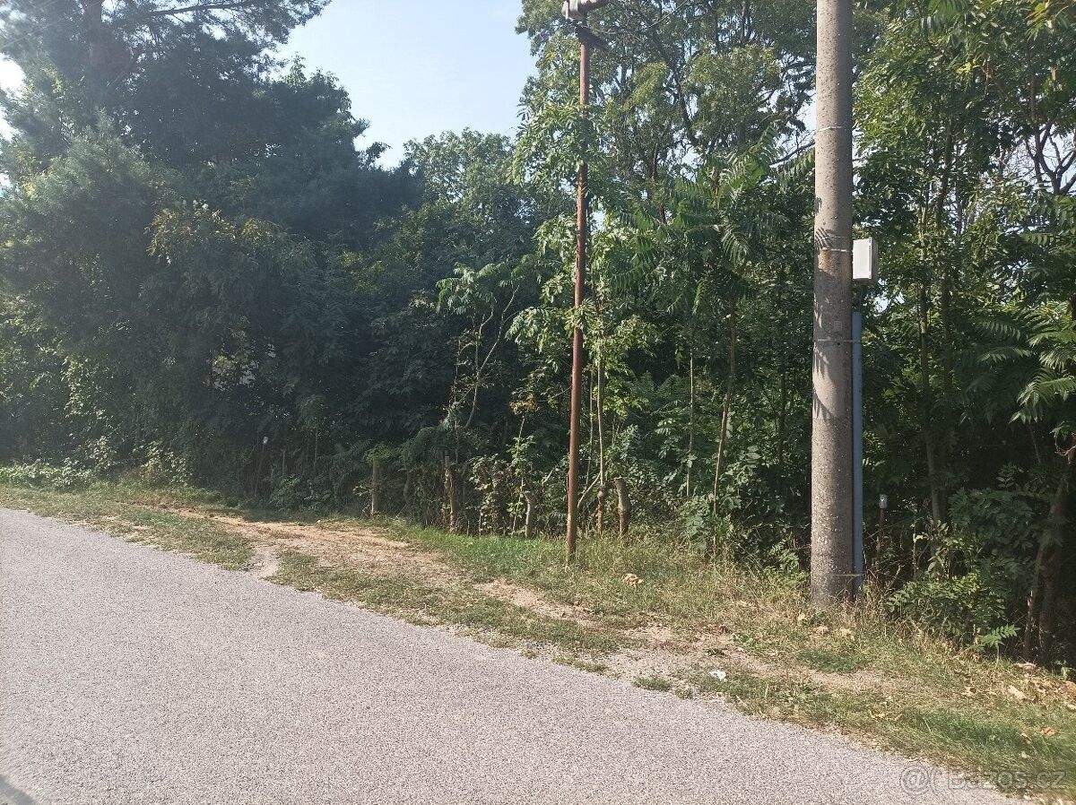 Pozemky pro bydlení, Mladá Boleslav, 293 01 - 2