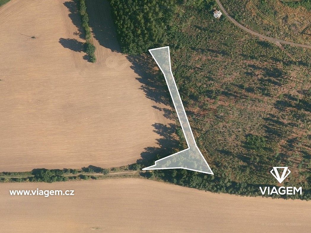 Prodej les - Choustník, okres Tábor, Jihočeský kraj - 2