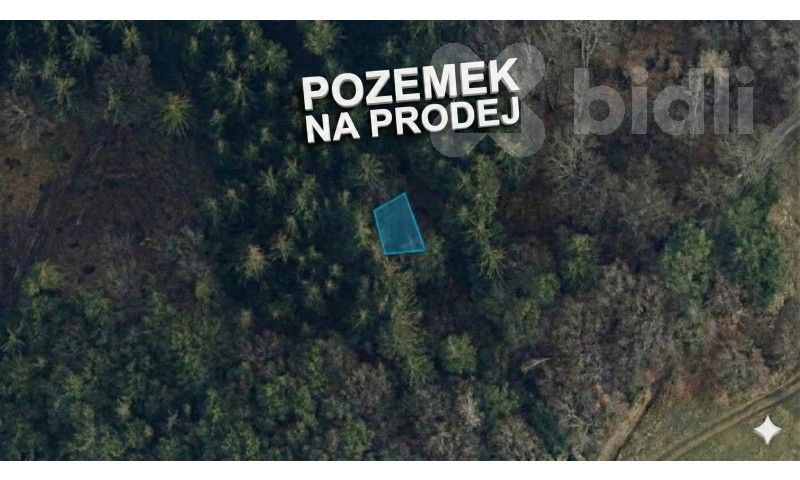 Louky, Šumburk nad Desnou, Tanvald