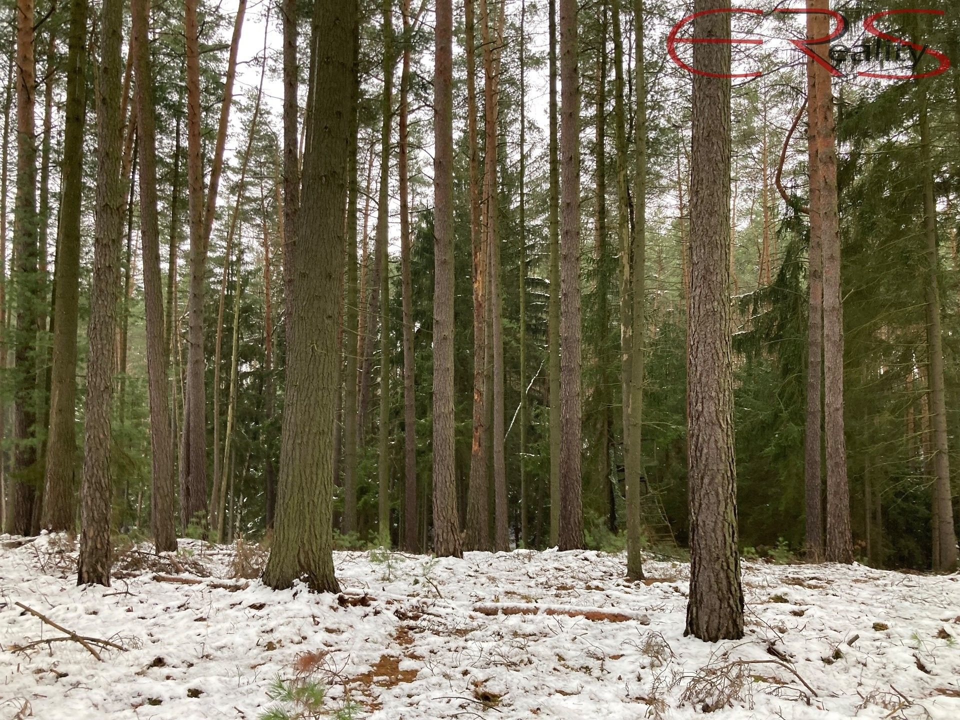 Lesy, Plužná, 162 122 m²