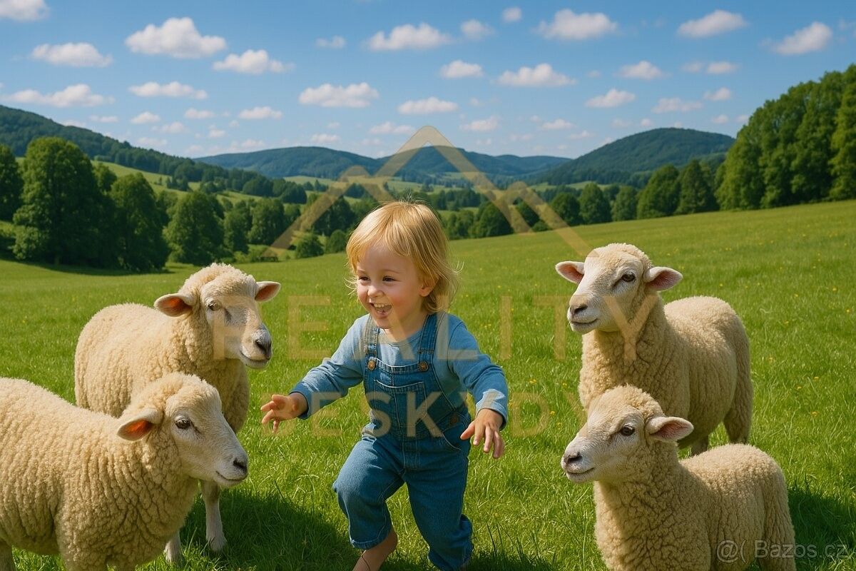 Pozemky pro bydlení, Rožnov pod Radhoštěm, 756 61