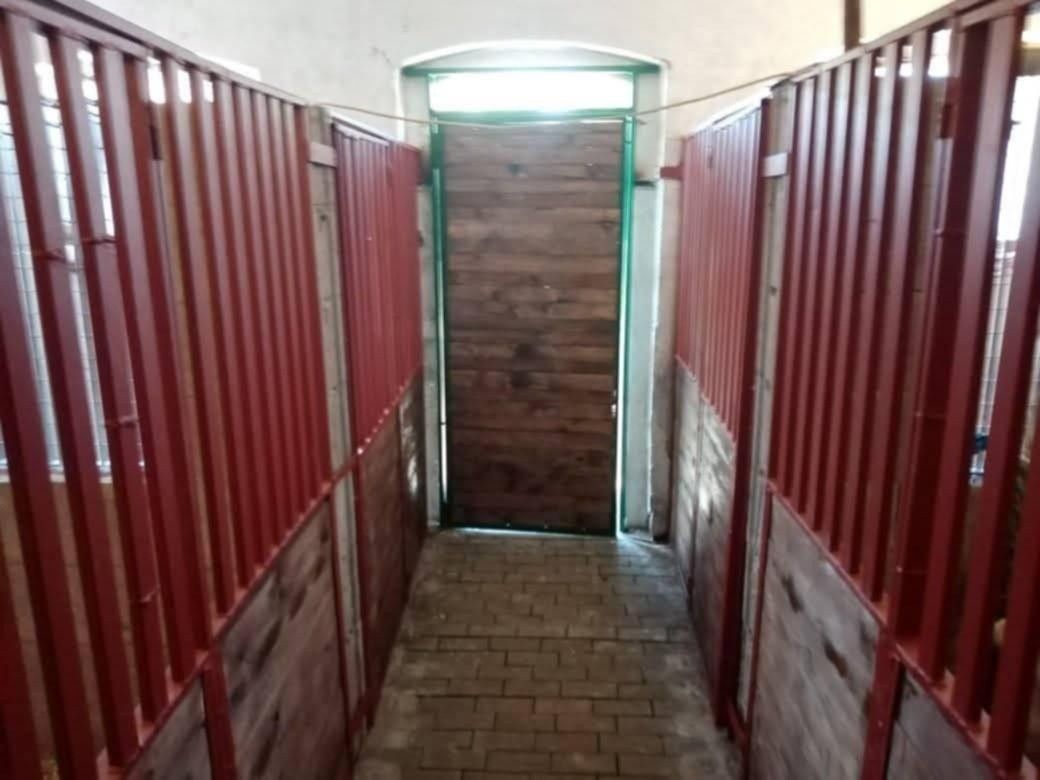 Rodinný dům · Nýřany, 330 23 - 4