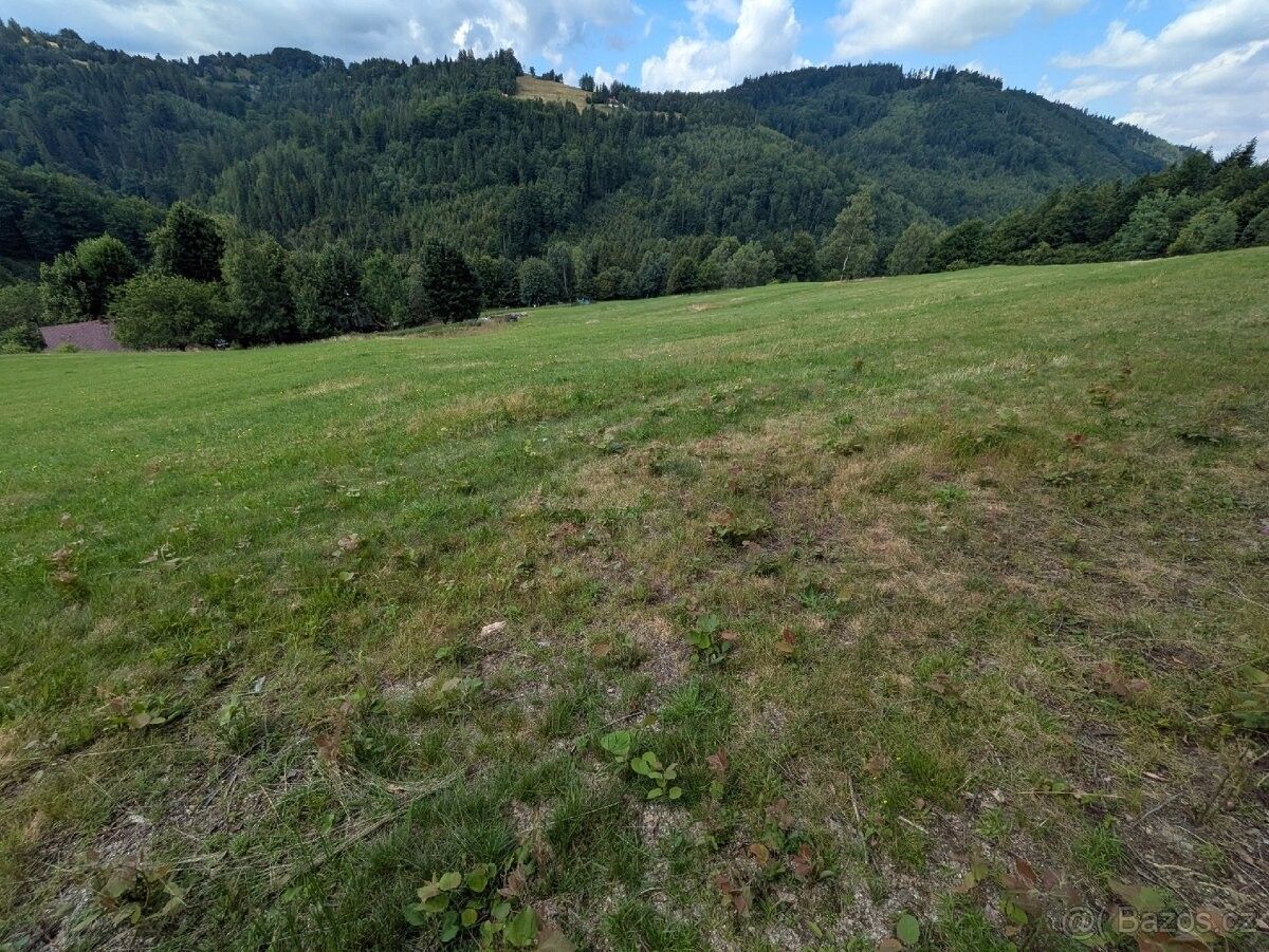 Pozemek pro bydlení · Bystřice nad Olší, 739 95 - 3