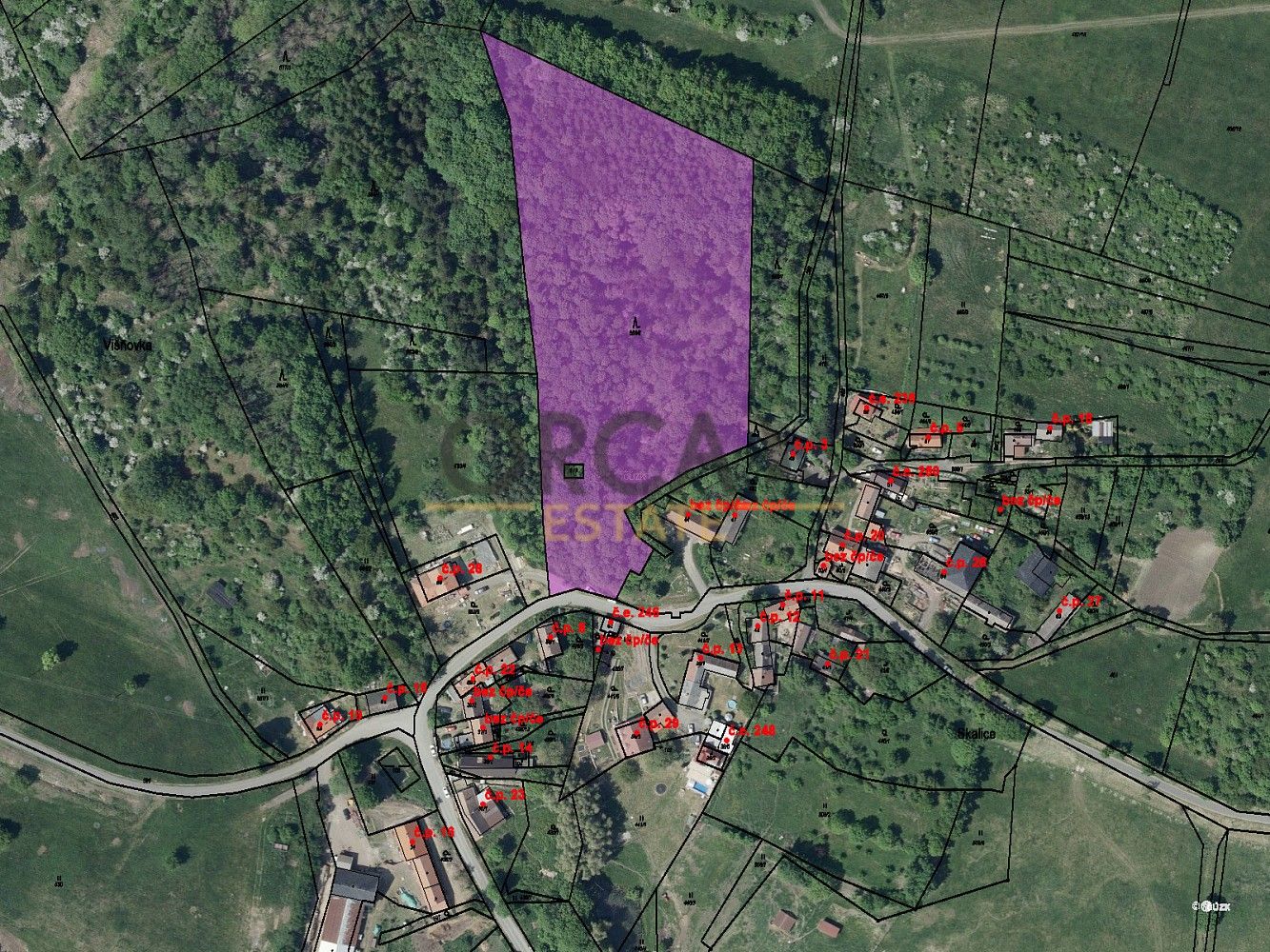 Lesy, Třebívlice, okres Litoměřice, Ústecký kraj - 1