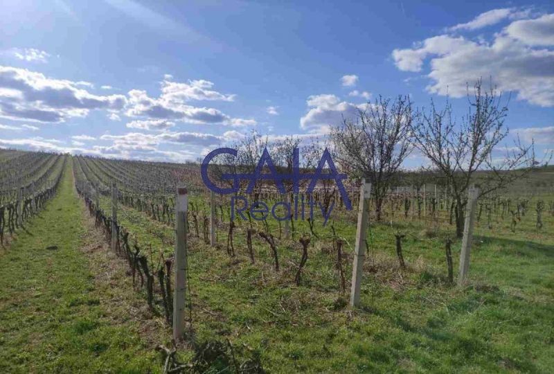 Prodej zemědělský pozemek - Čejkovice, 2 636 m²